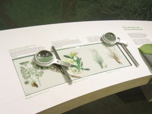 Museumsgestaltung. Vitrine mit erklärenden Grafiken.