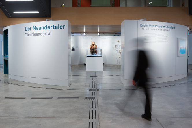 Ausstellungsarchitektur